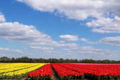 IMG_8688-Verbeterd-NR-kopie