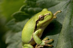 IMG_0946-Verbeterd-NR-kopie