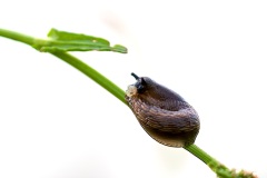 IMG_9249-Verbeterd-NR-kopie