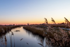 IMG_4760-Verbeterd-NR-kopie