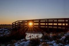 IMG_4800-Verbeterd-NR-kopie