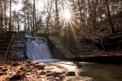 IMG_5572-Verbeterd-NR-kopie