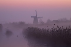 IMG_6244-Verbeterd-NR-1-kopie