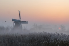 IMG_6309-Verbeterd-NR-kopie