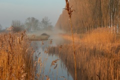 IMG_6413-Verbeterd-NR-kopie