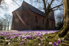 IMG_6770-Verbeterd-NR-kopiea